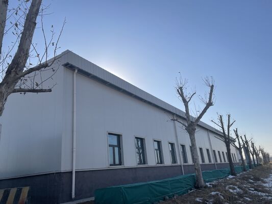 Edificio industriale prefabbricato in metallo per officina con struttura in acciaio con trave ad H ad alta resistenza con opzione pannello ignifugo